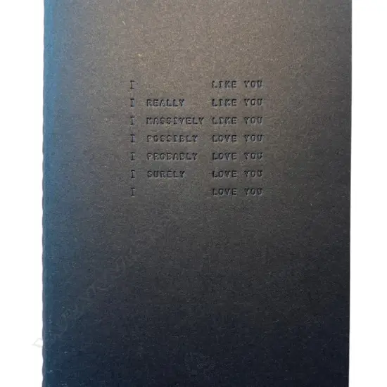 Solomon Mortimer (1991-)/Zahra Killeen-Chance, I like you - ...',